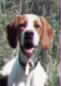 CUQUI